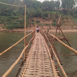 The Dreaded Bamboo Bridge