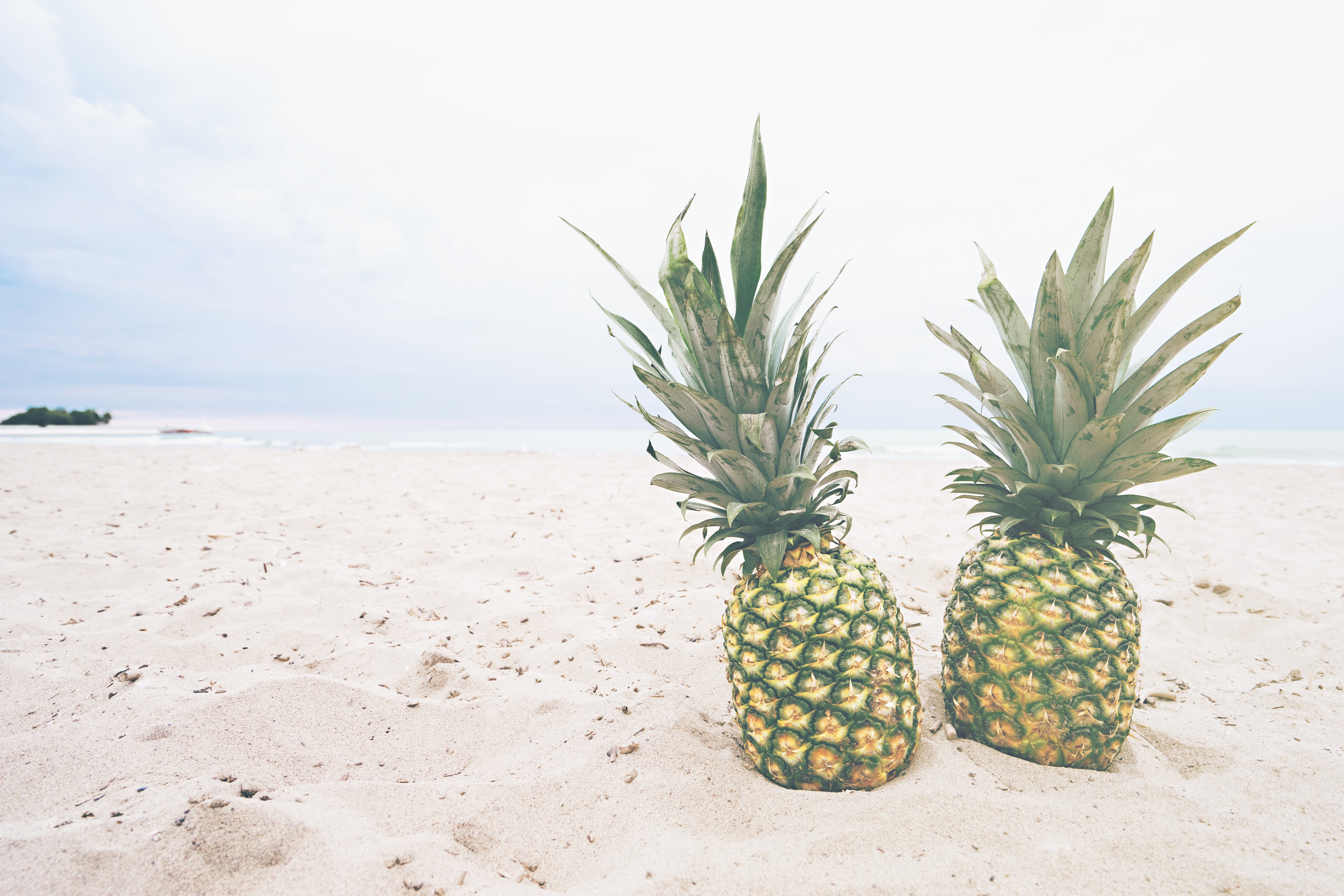 pineapple-supply-co-RLak_xZb5sU-unsplash